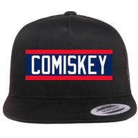 Retro Baseball 80s Throwback Style I Still Call It Comiskey Flatbill Hat