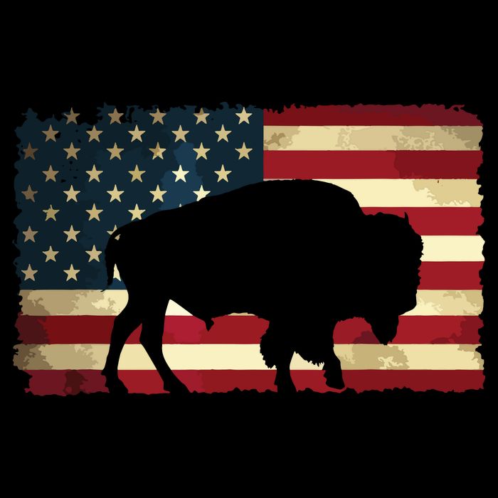 Retro Buffalo American Flag USA Bison Cooling Performance Crew T-Shirt