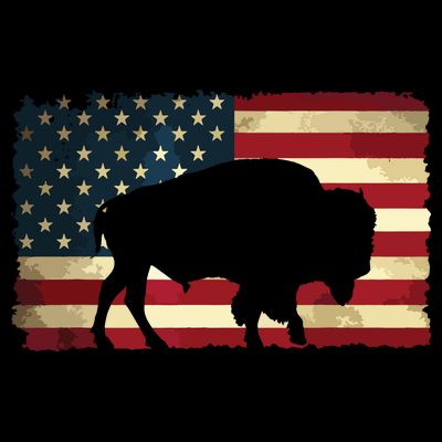 Retro Buffalo American Flag USA Bison T-Shirt