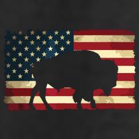 Retro Buffalo American Flag USA Bison 15oz Campfire Ceramic Mug