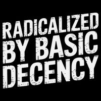 Radicalized By Basic Decency 2 Gift Toddler T-Shirt