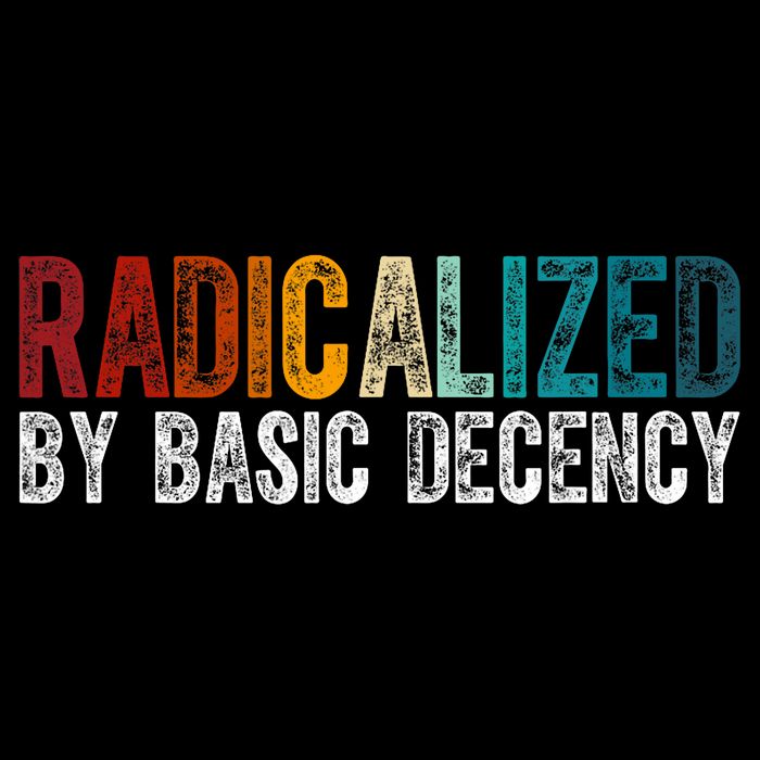 Radicalized By Basic Decency Funny Social Democracy 16 in Basic Backpack