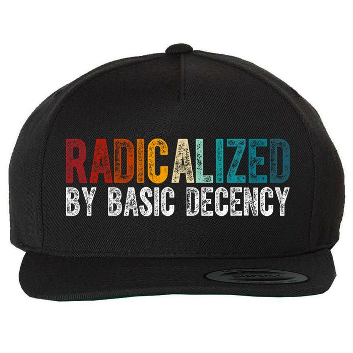 Radicalized By Basic Decency Funny Social Democracy Wool Snapback Cap