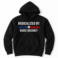 Radicalized By Basic Decency Funny Social Democracy  Hoodie