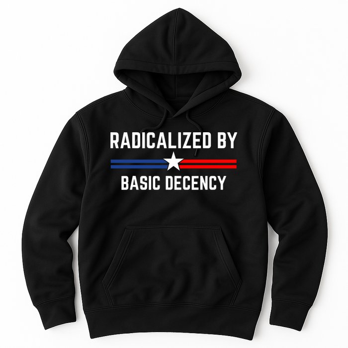 Radicalized By Basic Decency Funny Social Democracy  Hoodie