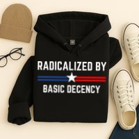 Radicalized By Basic Decency Funny Social Democracy  Hoodie