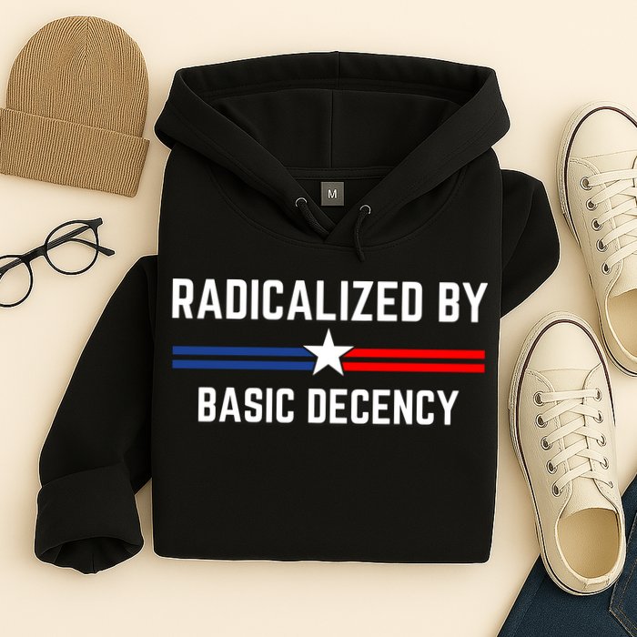 Radicalized By Basic Decency Funny Social Democracy  Hoodie