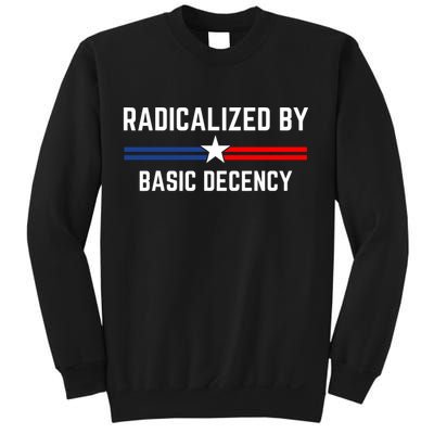 Radicalized By Basic Decency Funny Social Democracy  Sweatshirt