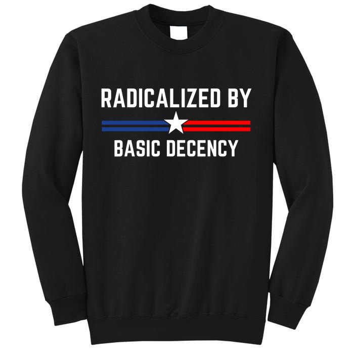 Radicalized By Basic Decency Funny Social Democracy  Sweatshirt