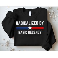 Radicalized By Basic Decency Funny Social Democracy  Sweatshirt