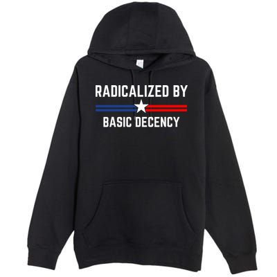 Radicalized By Basic Decency Funny Social Democracy  Premium Pullover Hoodie