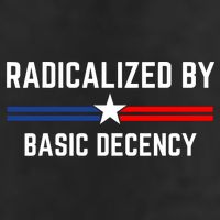 Radicalized By Basic Decency Funny Social Democracy  Tumbler