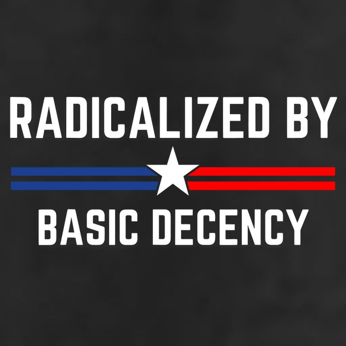 Radicalized By Basic Decency Funny Social Democracy  25L Jumbo Tote