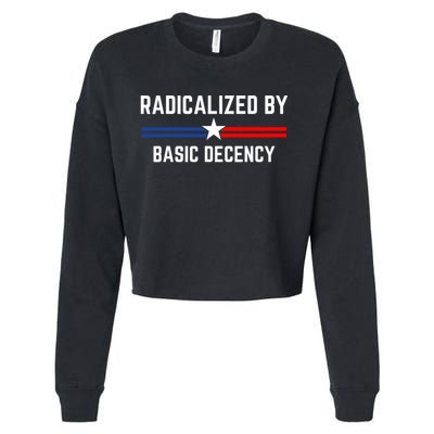 Radicalized By Basic Decency Funny Social Democracy  Cropped Pullover Crew