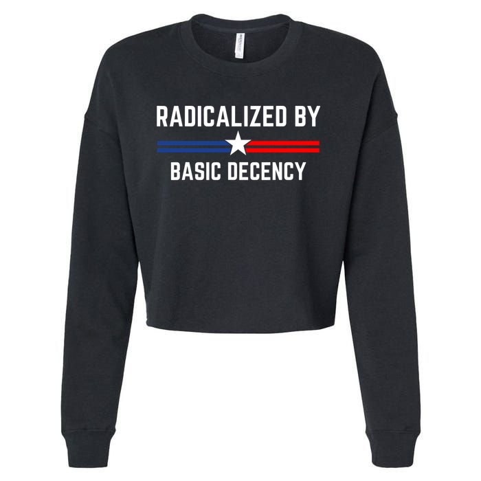Radicalized By Basic Decency Funny Social Democracy  Cropped Pullover Crew