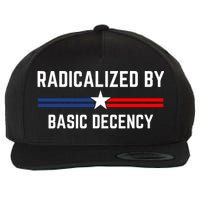 Radicalized By Basic Decency Funny Social Democracy  Wool Snapback Cap