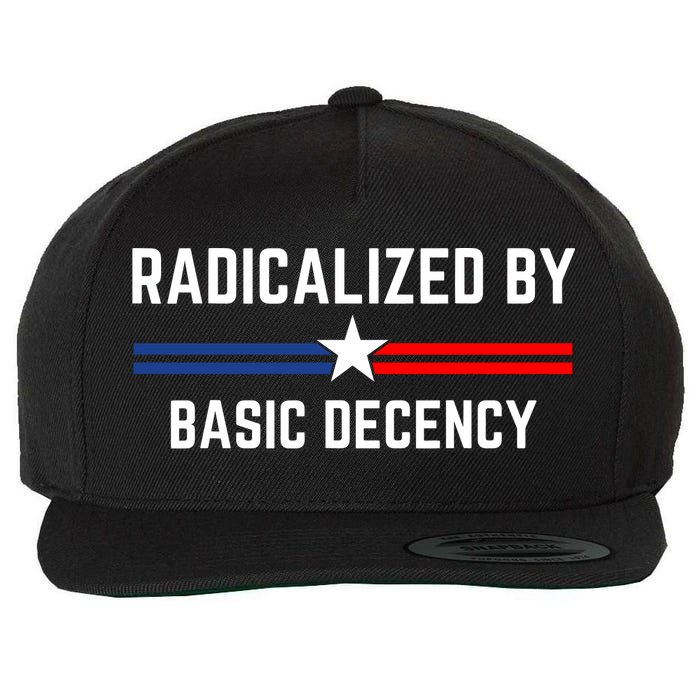 Radicalized By Basic Decency Funny Social Democracy  Wool Snapback Cap