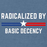 Radicalized By Basic Decency Funny Social Democracy  Garment-Dyed Sweatshirt