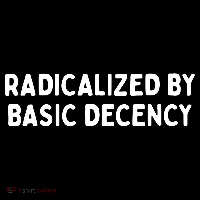Radicalized By Basic Decency Toddler T-Shirt