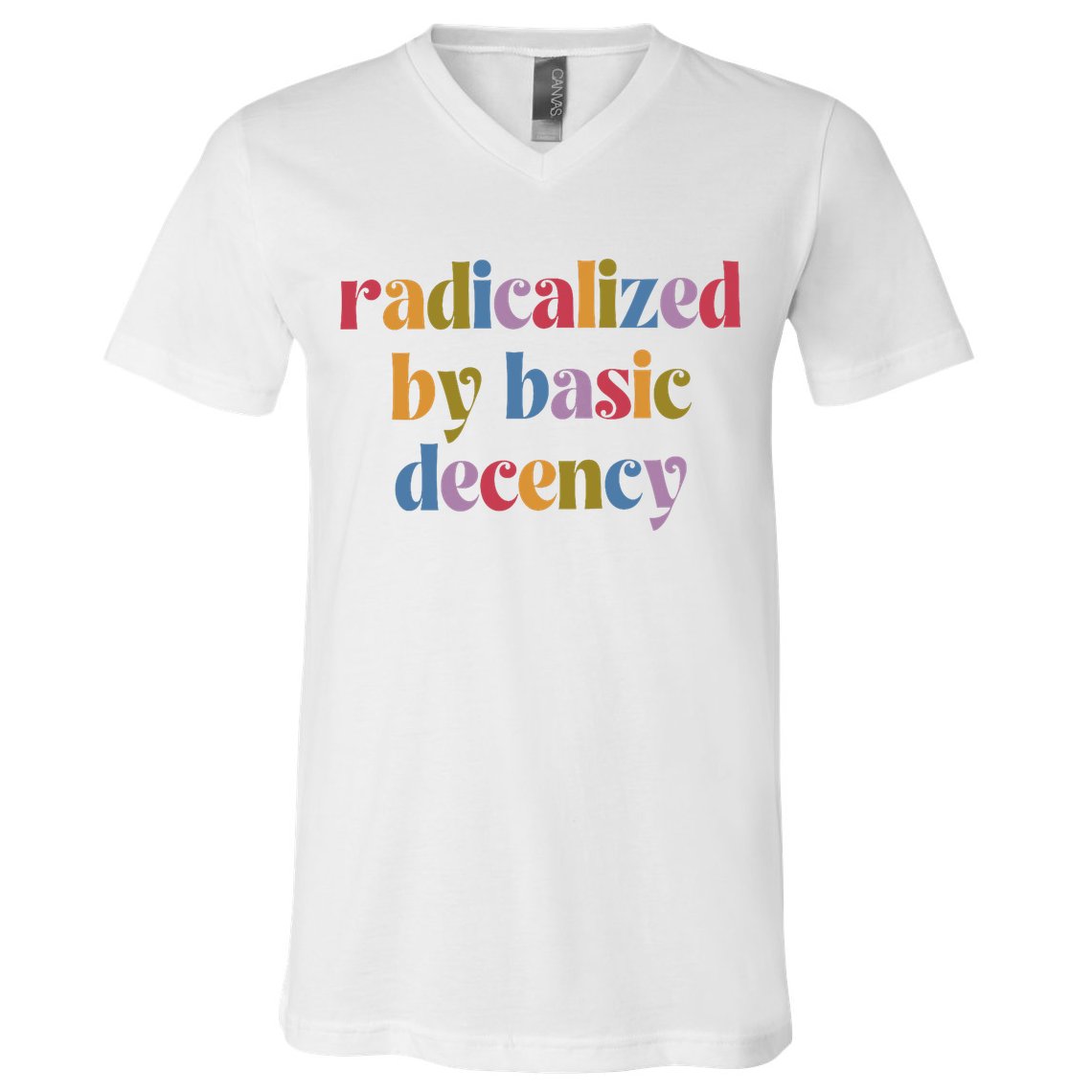 Radicalized By Basic Decency Women V-Neck T-Shirt