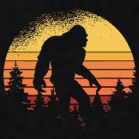 Retro Bigfoot Believer Silhouette Sasquatch Hide And Seek Ladies PosiCharge Tri-Blend Wicking Tank