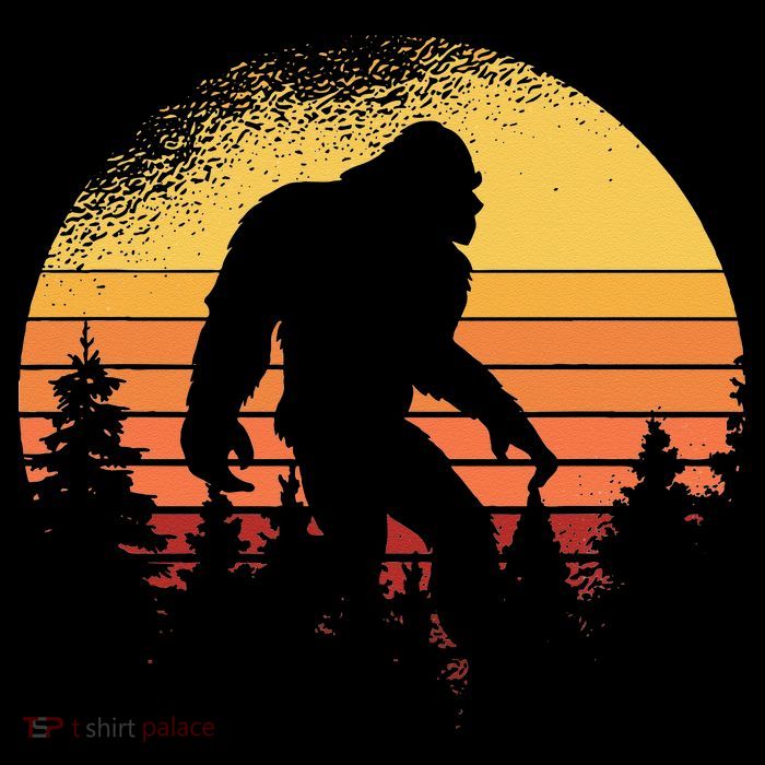 Retro Bigfoot Believer Silhouette Sasquatch Hide And Seek Tall T-Shirt