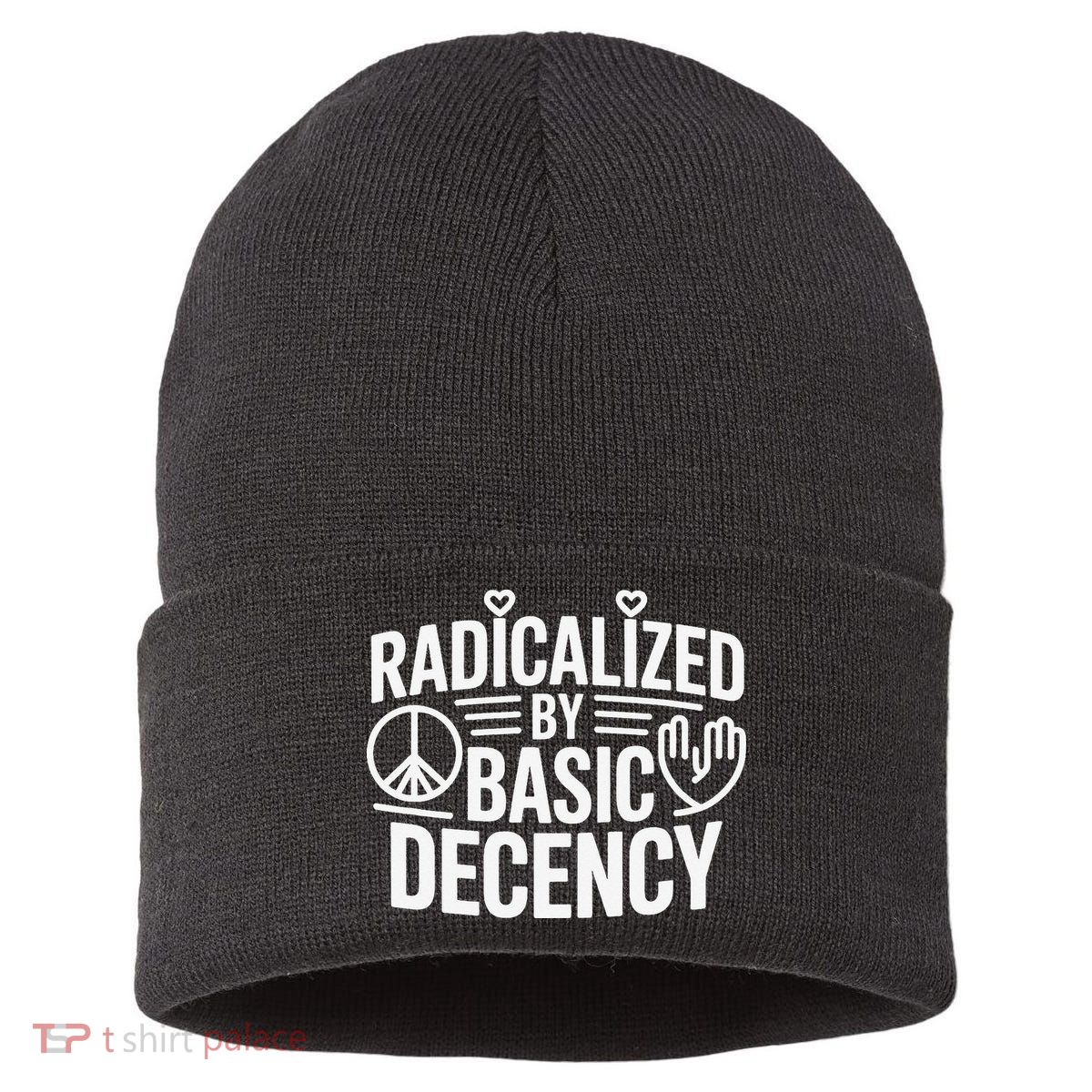 Radicalized By Basic Decency Protest Resist Persist Sustainable Knit Beanie