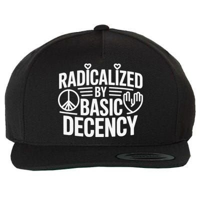 Radicalized By Basic Decency Protest Resist Persist Wool Snapback Cap