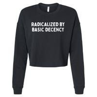 Radicalized By Basic Decency Funny Social Democracy Cropped Pullover Crew