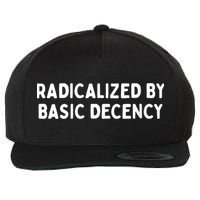 Radicalized By Basic Decency Funny Social Democracy Wool Snapback Cap