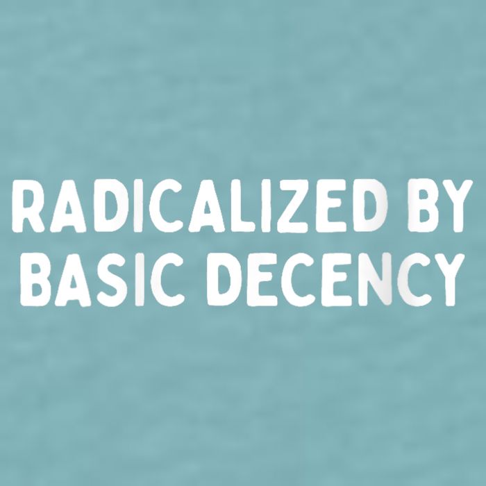 Radicalized By Basic Decency Funny Social Democracy Sueded Cloud Jersey T-Shirt