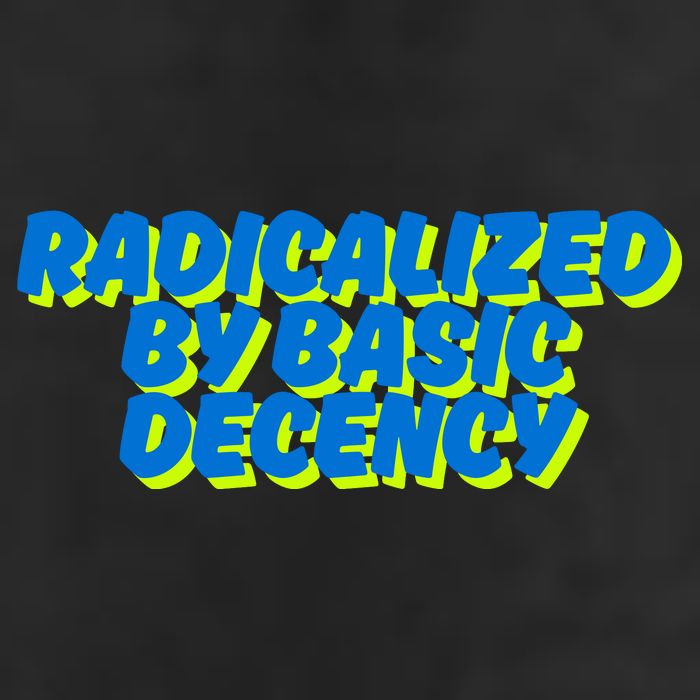 Radicalized By Basic Decency 7 Panel Mesh Trucker Snapback Hat