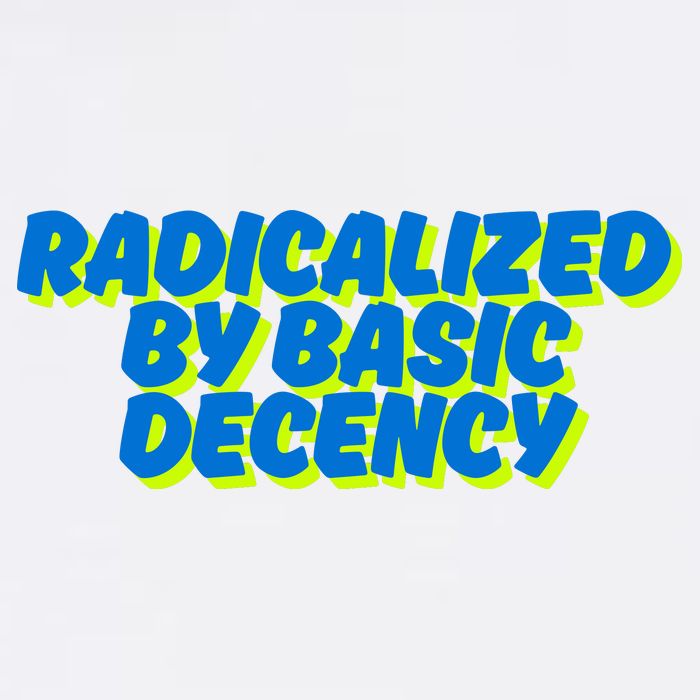Radicalized By Basic Decency Toddler T-Shirt