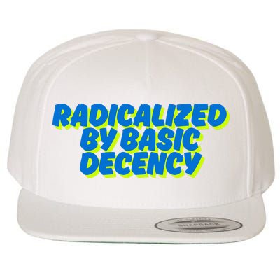 Radicalized By Basic Decency Wool Snapback Cap