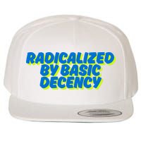 Radicalized By Basic Decency Wool Snapback Cap