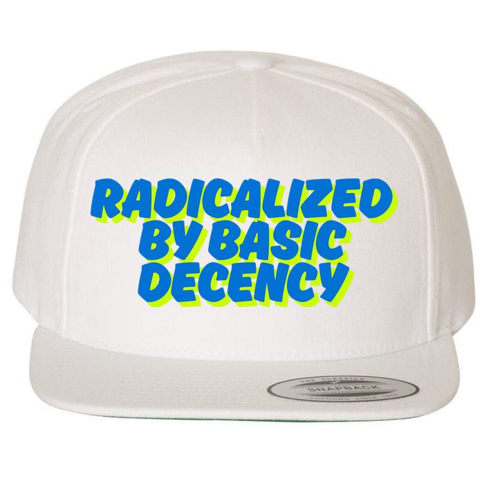 Radicalized By Basic Decency Wool Snapback Cap