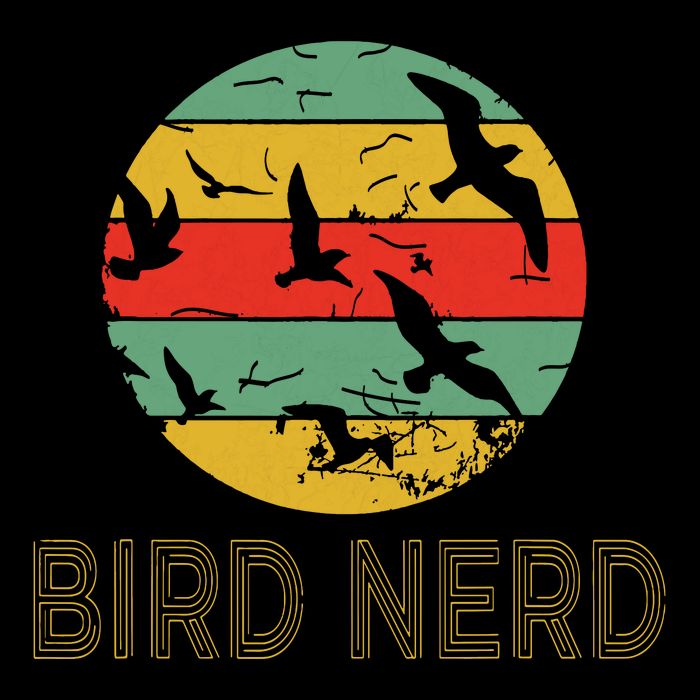 Retro Birding Bird Watching Nerd Funny Bird Watcher Button