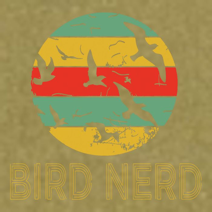 Retro Birding Bird Watching Nerd Funny Bird Watcher Garment-Dyed Women's Muscle Tee