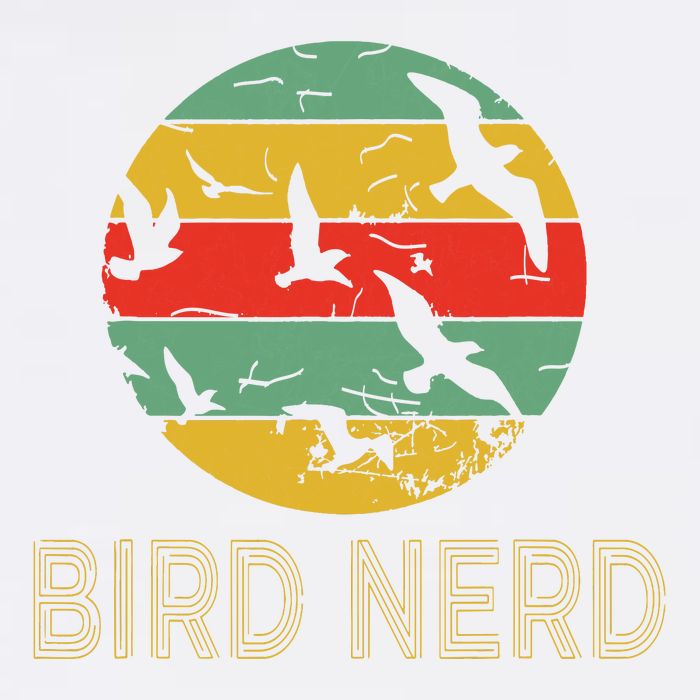 Retro Birding Bird Watching Nerd Funny Bird Watcher Garment-Dyed Sweatshirt
