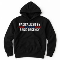 Radicalized By Basic Decency Funny Quote Hoodie