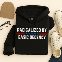 Radicalized By Basic Decency Funny Quote Hoodie