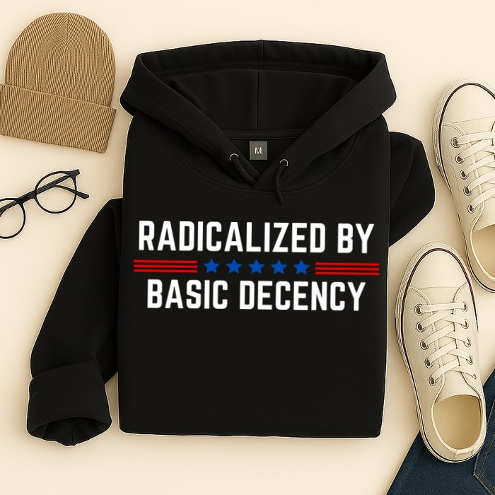 Radicalized By Basic Decency Funny Quote Hoodie
