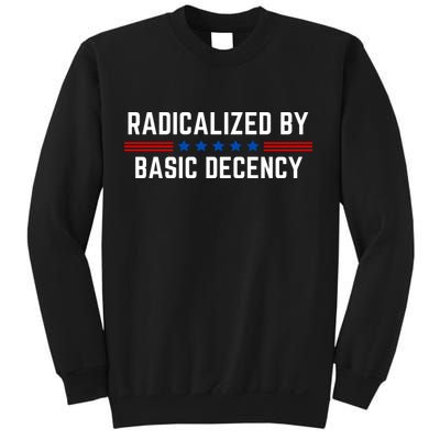 Radicalized By Basic Decency Funny Quote Sweatshirt