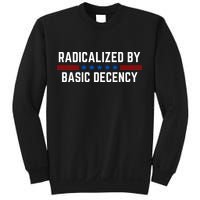 Radicalized By Basic Decency Funny Quote Sweatshirt