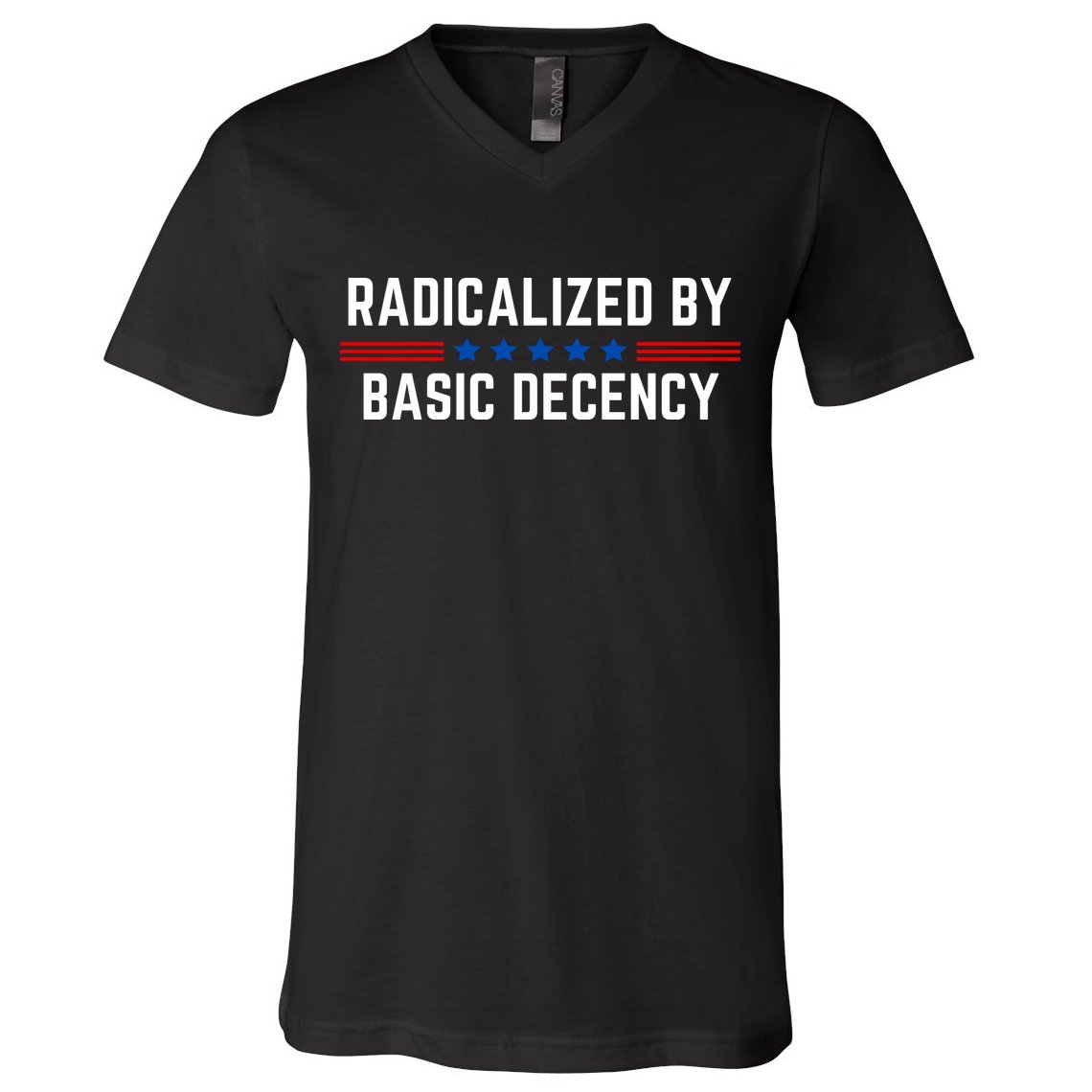 Radicalized By Basic Decency Funny Quote V-Neck T-Shirt