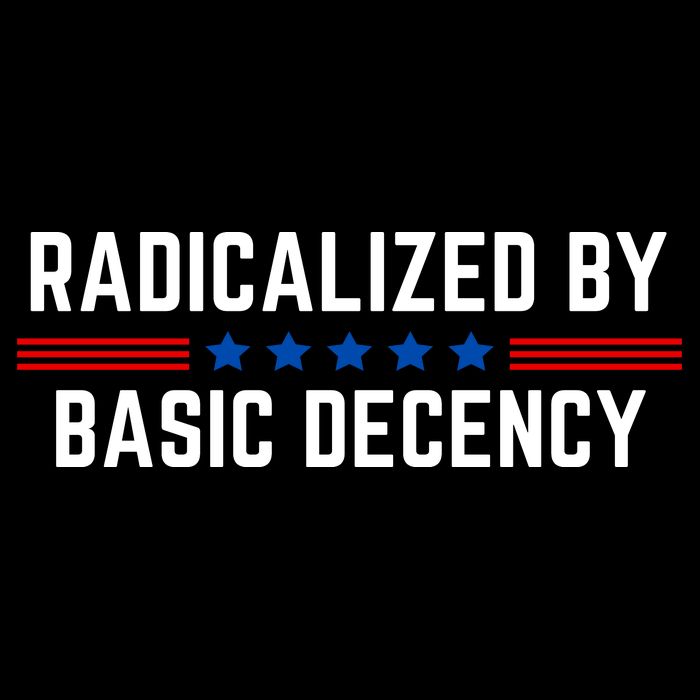 Radicalized By Basic Decency Funny Quote Flat Bill Trucker Hat