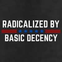 Radicalized By Basic Decency Funny Quote Hat