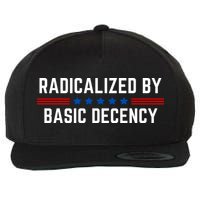 Radicalized By Basic Decency Funny Quote Wool Snapback Cap