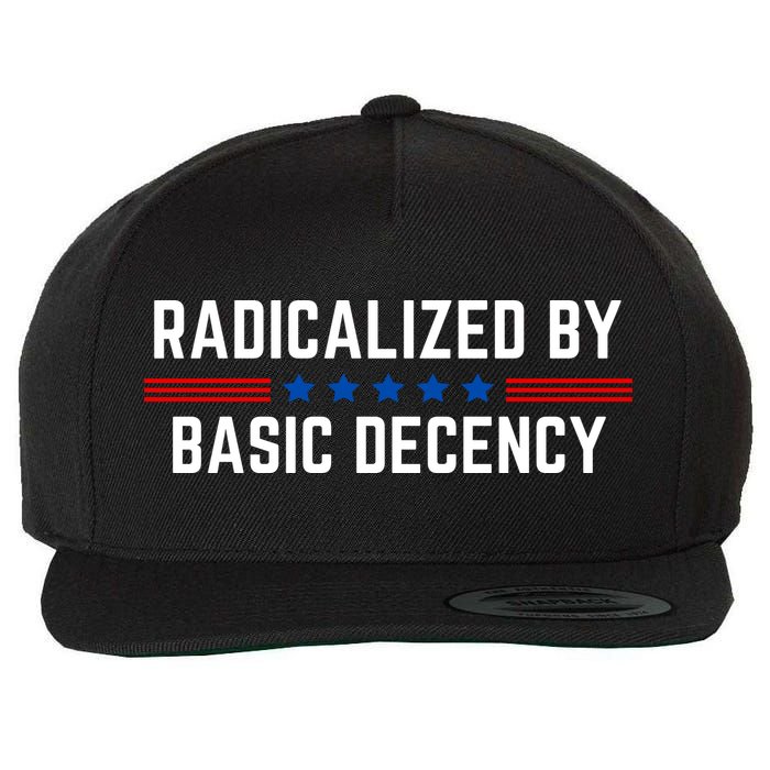 Radicalized By Basic Decency Funny Quote Wool Snapback Cap