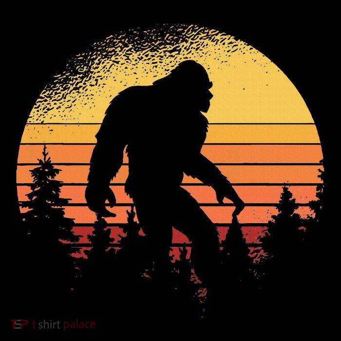 Retro Bigfoot Believer Silhouette Sasquatch Hide And Seek Toddler Hoodie
